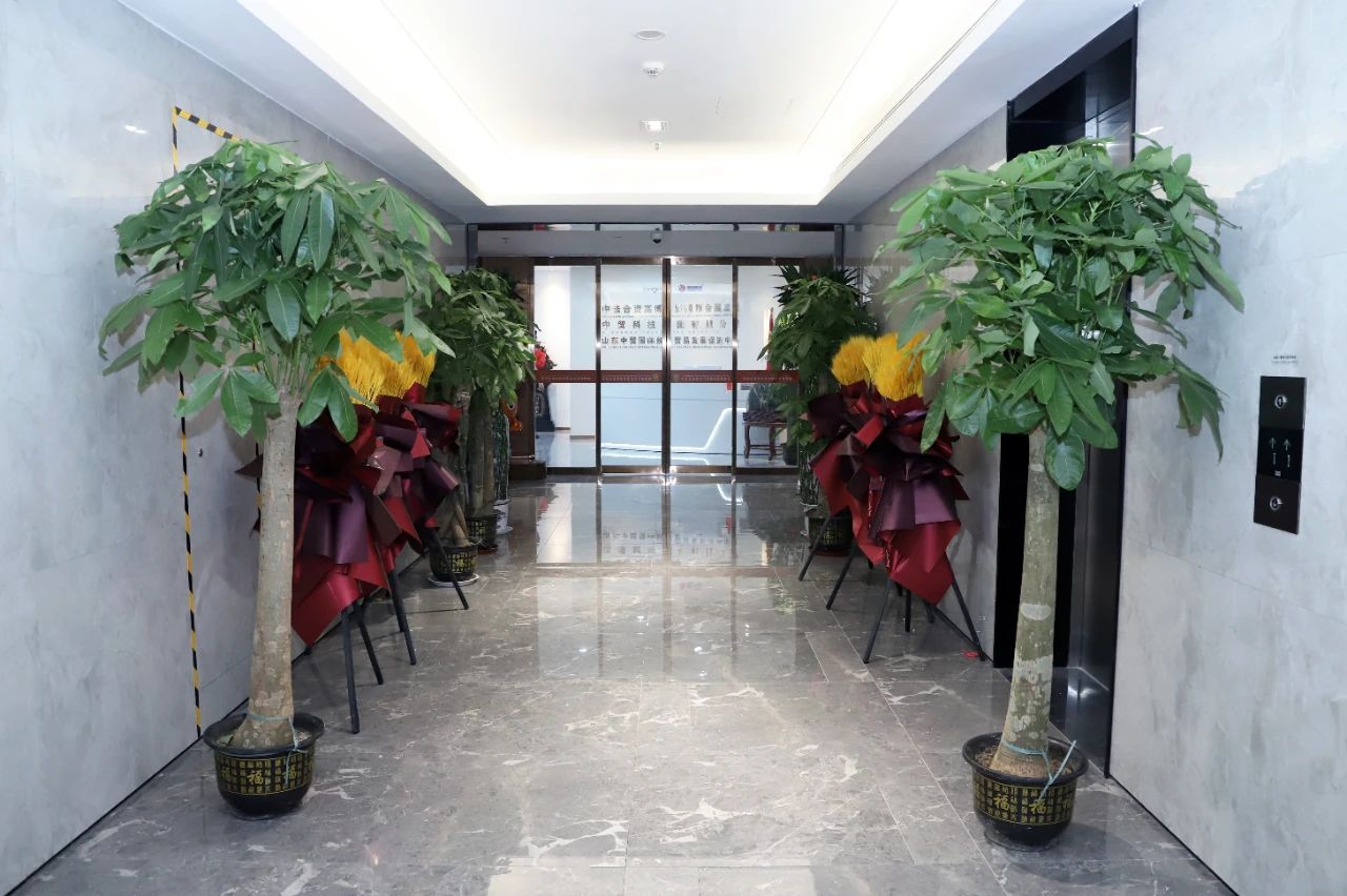 1694058507109675.jpg 1694058507109675.jpg